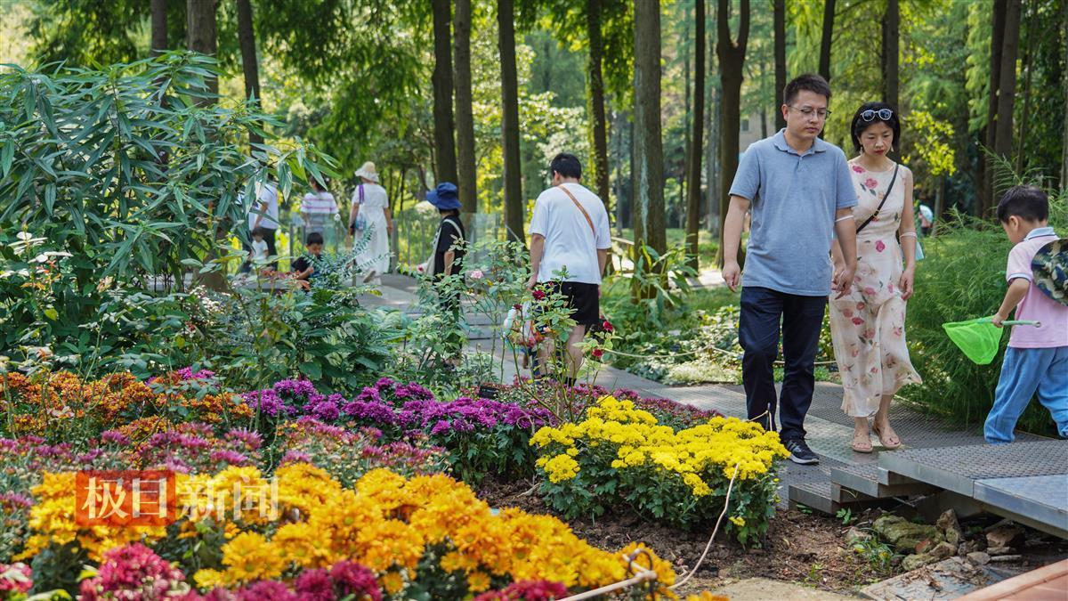 集结号加微信送分5万