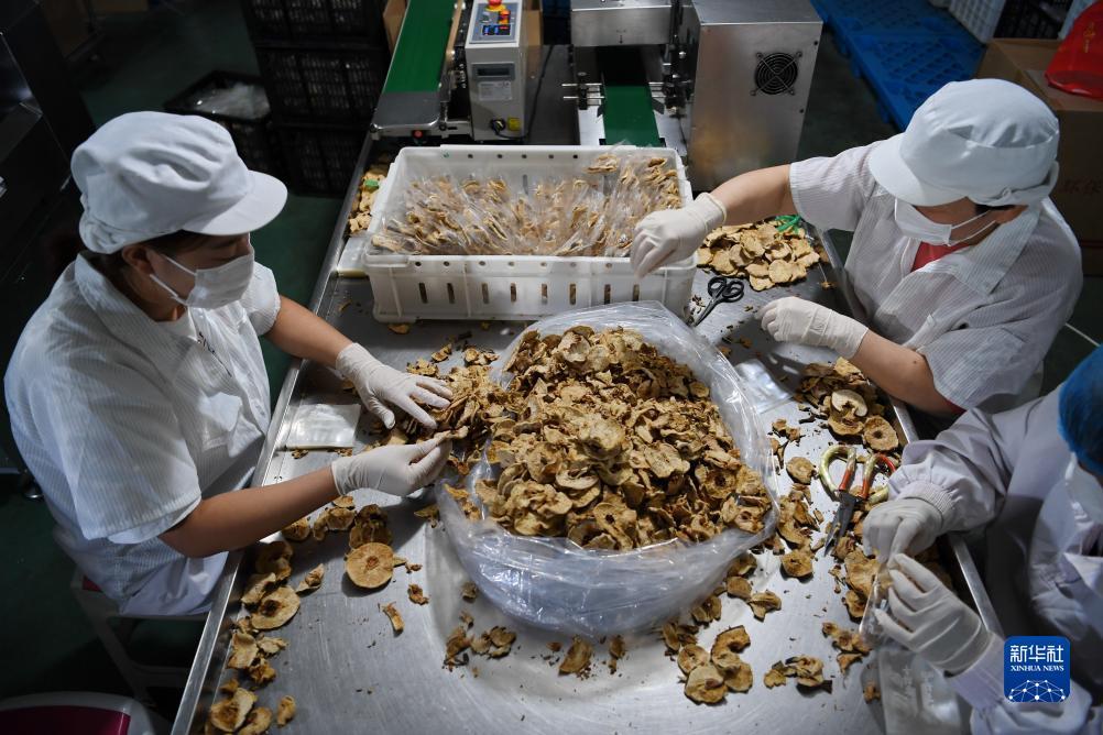 天下免费彩金网